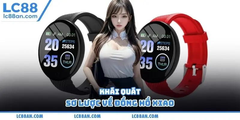 Khái quát sơ lược về đồng hồ Xiao